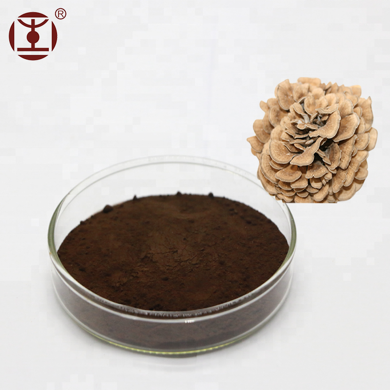 Organic Grifola Frondosa Extract Powder,Maitake Extract Powder Buy Grifola frondosa, Maitake
